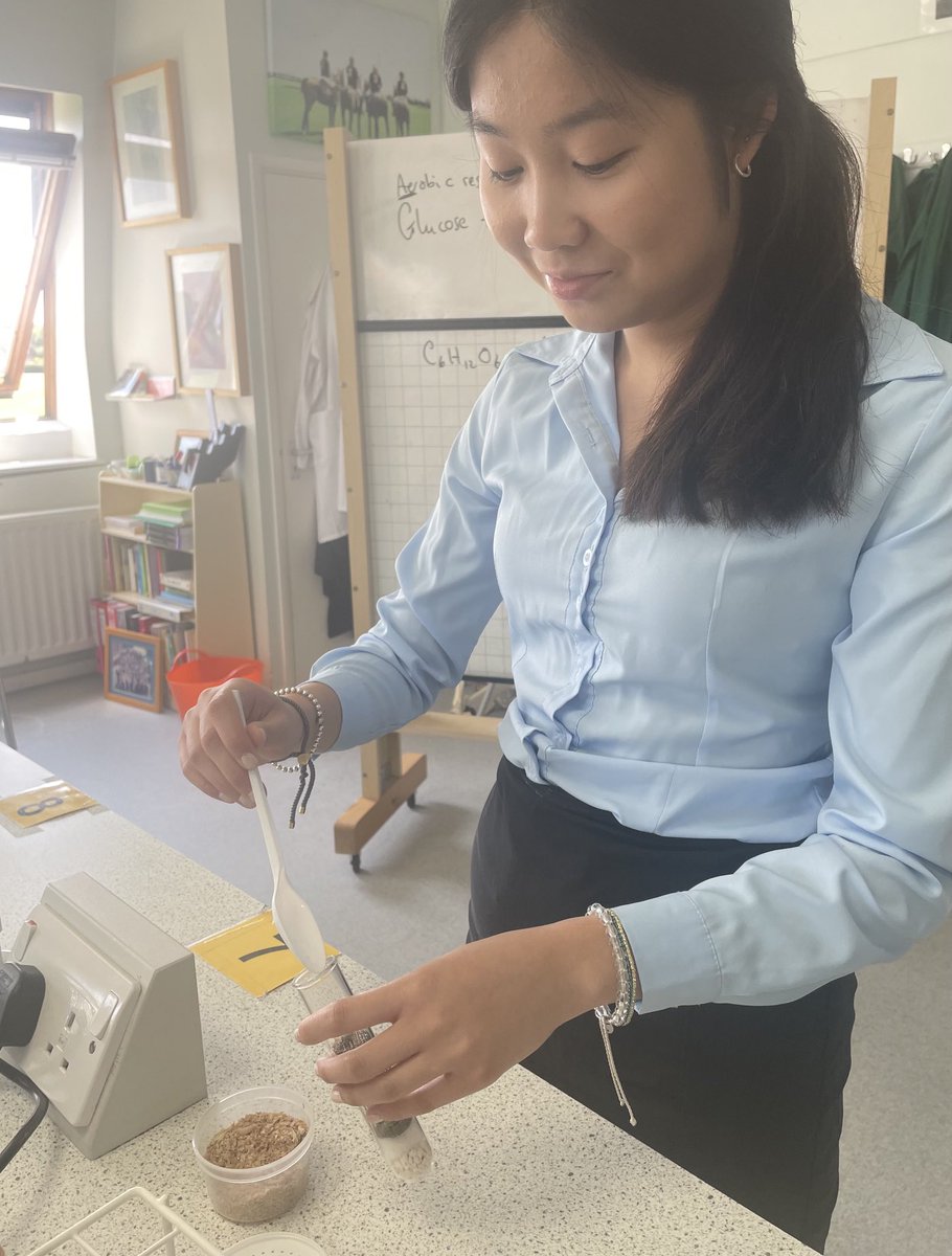 IBSL undertaking practical work ‘Better milk For Cats’ using immobilised enzymes and investigating the rate of respiration using wax worms (actually larvae) to support learning of ‘Enzymes and Metabolism’
