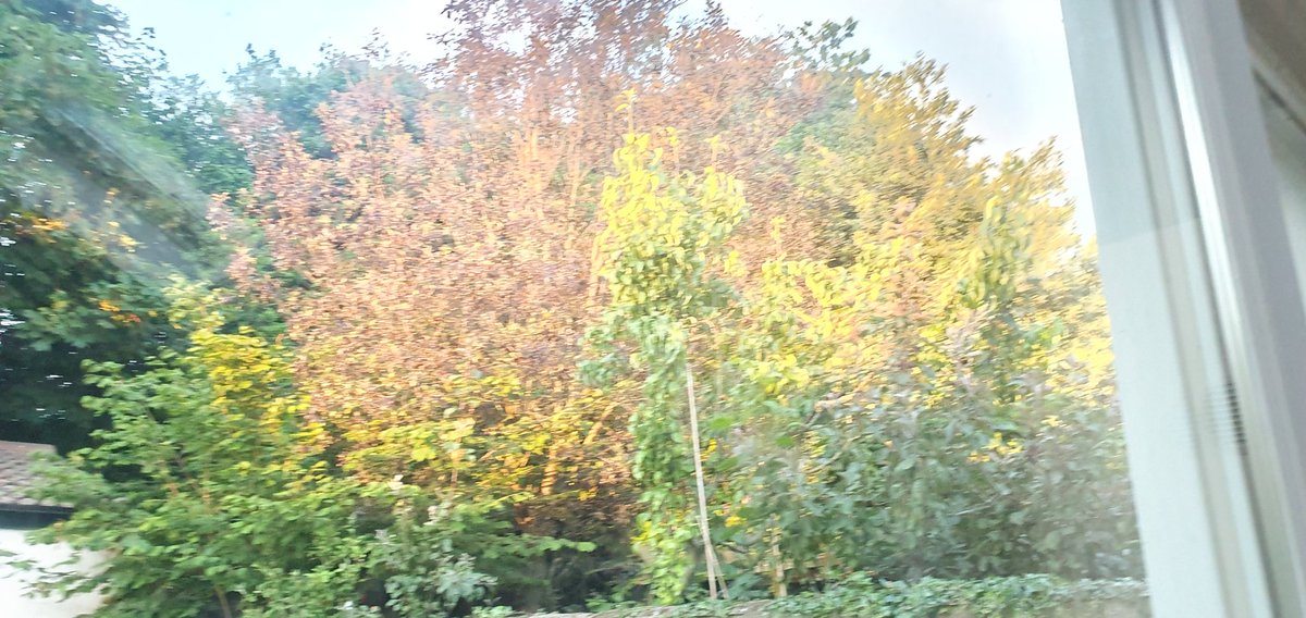 _ValODonovan's tweet image. Cavan looking lovely! Reflections of a gorgeous sunrise here in Dublin #ViewFromTheWindow