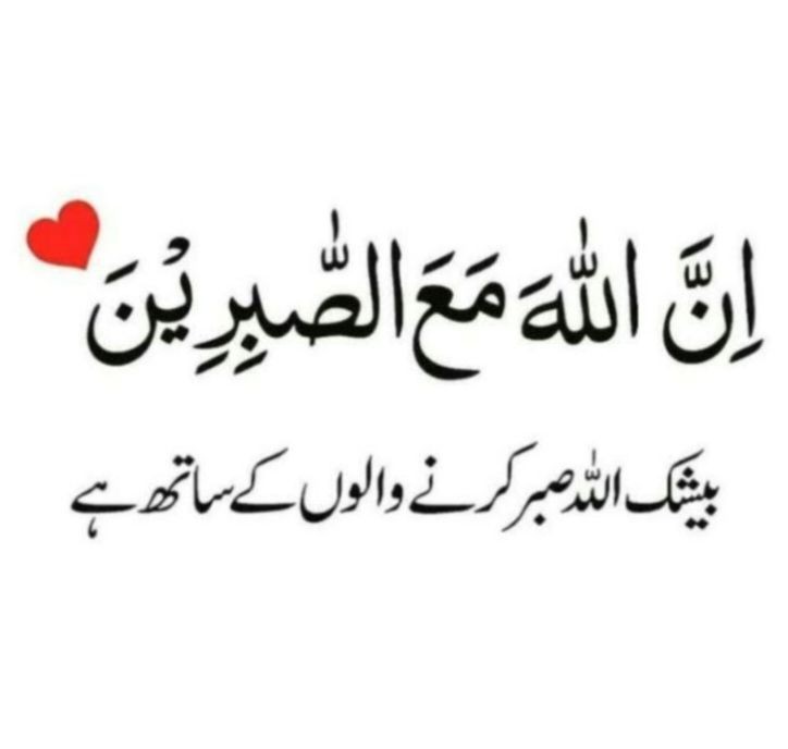 Muhammad Danish tweet media