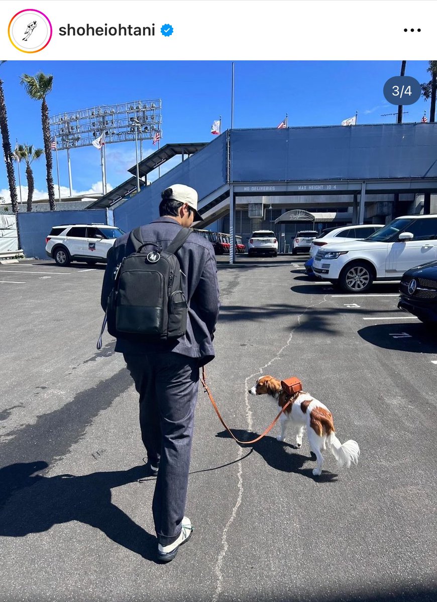 大谷選手に愛用いただいてるとは驚きましたが、選んでいただけたのは