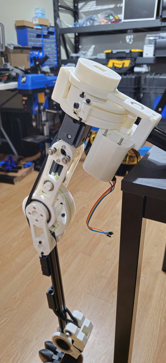 Ian Pritchard (anthro/acc) tweet media