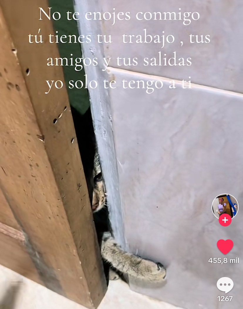 estoy completamente destruida