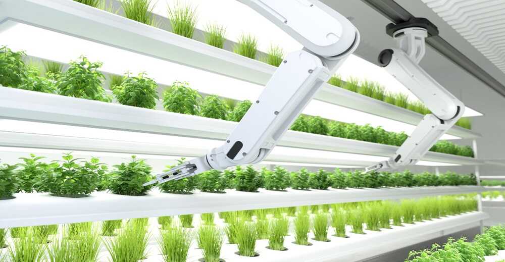 kumarmohitcool's tweet image. Transforming Agriculture with LED Farming!

#LEDfarming is revolutionizing the way we grow our  food! With innovative #LEDlighting technology, we can now cultivate  crops year-round, indoors, and with greater efficiency.

visit here: shorturl.at/KkYiP

#IndoorFarming