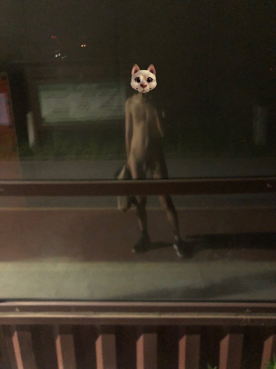 Haozi23's tweet photo. 回沈阳就自己是真不爱拍
晚上脱光了在公园路边撸，来来回回能有十多个人看到 https://t.co/l3j2OP24V3
