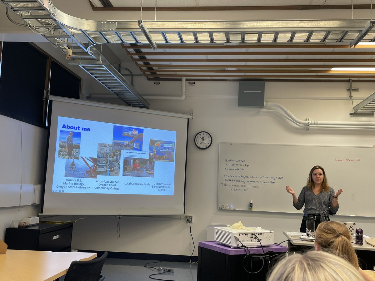 Sta”sea” “Sea”bert🐬🐋🦈🐙🐠🐡🦑 tweet media