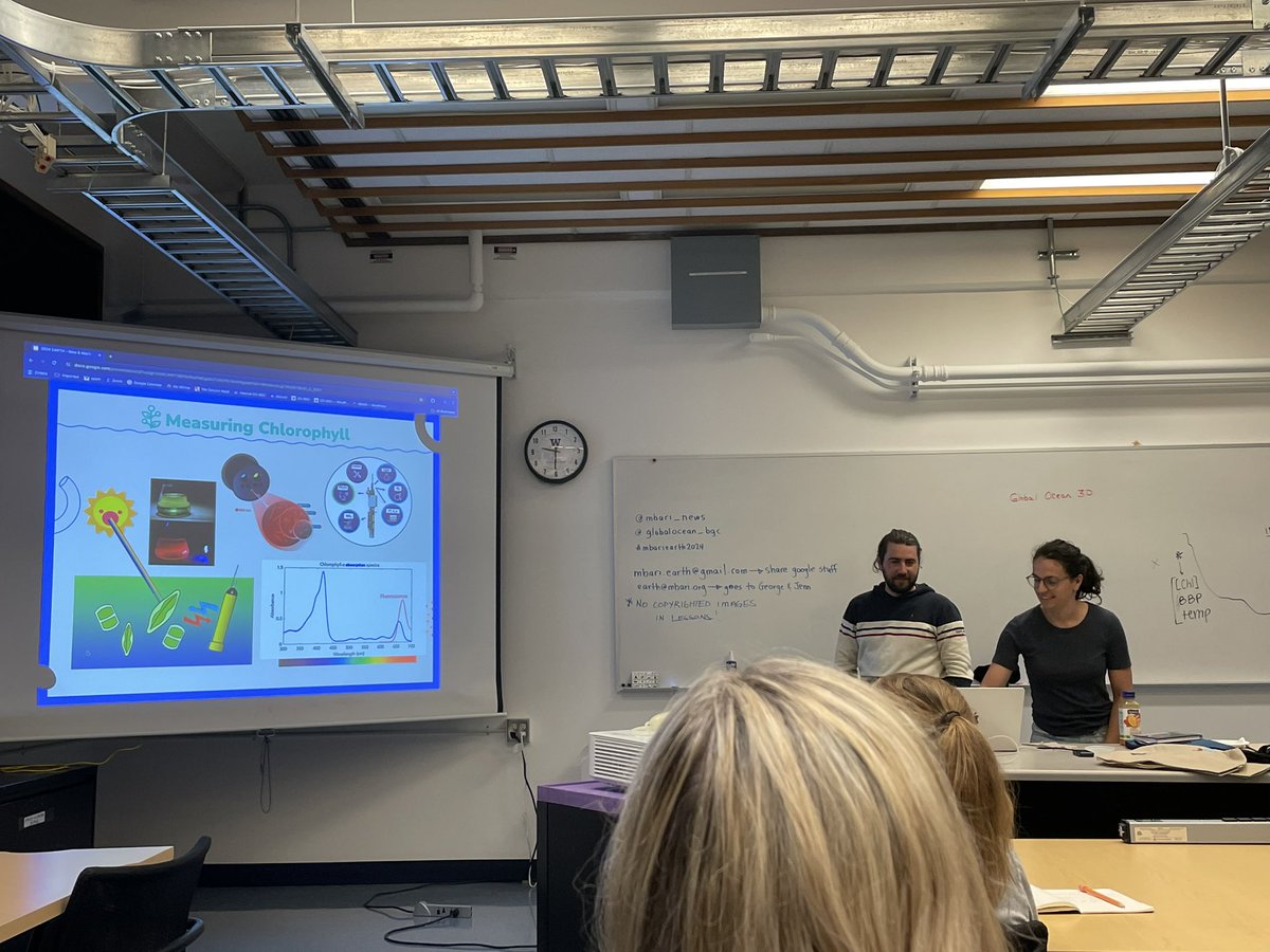 Sta”sea” “Sea”bert🐬🐋🦈🐙🐠🐡🦑 tweet media