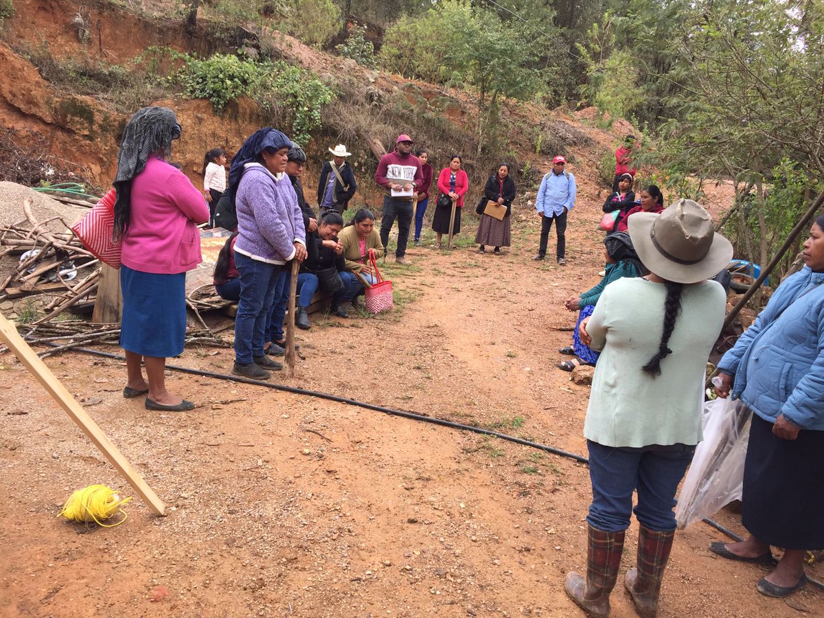 SEFADER_GobOax's tweet photo. En Santo Domingo Tepuxtepec, #SierraJuáarez se trabaja en el establecimiento,trazo, delimitación y muestreo de suelo de la Plataforma de Investigación CIMMYT-SEFADER. 

En esta plataforma se establecerán tratamientos bajo el esquema de agricultura de conservación y se sembrarán semillas locales de la raza maíz serrano mixe, color amarillo.

El Dr. @GueraForest, Coordinador de investigación del Hub Pacífico Sur – Agricultura de Conservación  (CIMMYT) y el ingeniero Felipe Gutiérrez Vásquez, técnico del programa de "Autosuficiencia Alimentaria" en el municipio, son los encargados del seguimiento a dicha plataforma de investigacion.
#OaxacaFloreceConElCampo

@GobOax 
@LopezLeyvaV