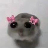 myloveforstuff's tweet photo. 🥺🥺🥺🥺🥺 https://t.co/cFz4FgiOxV