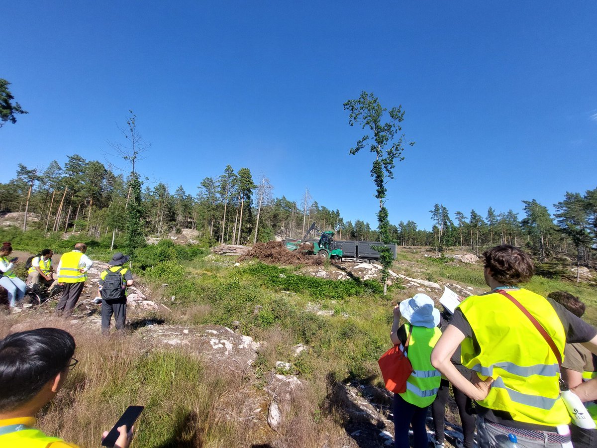 Effective forest value chain for timber and bioenergy demonstrated in  #IURFO2024 excursion.