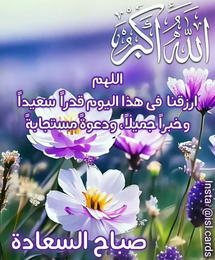 warda tweet media