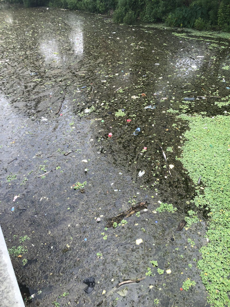 JohnPuckettFL's tweet photo. I want to discuss what sad fact it is to see the severity of the situation of our water in Austin, Texas. “Don’t Mess With Texas” is a serious statement and we all need to understand that we humans are causing this, now we need to all find a way to fix it! https://t.co/7cn1sKddMe