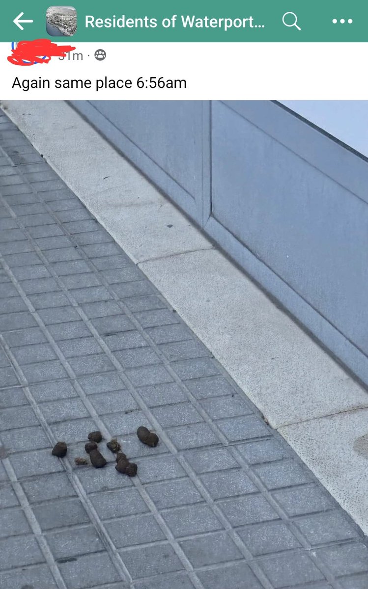 Steven Noni Belilo tweet media