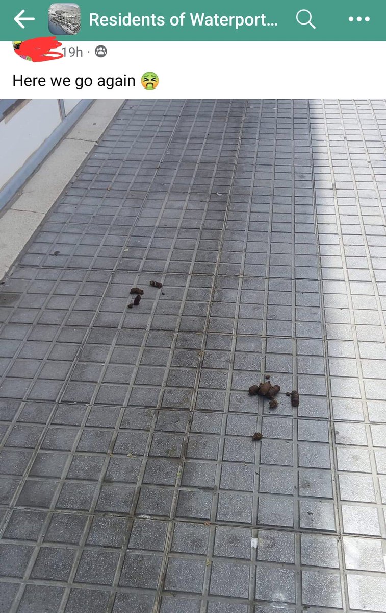 Steven Noni Belilo tweet media