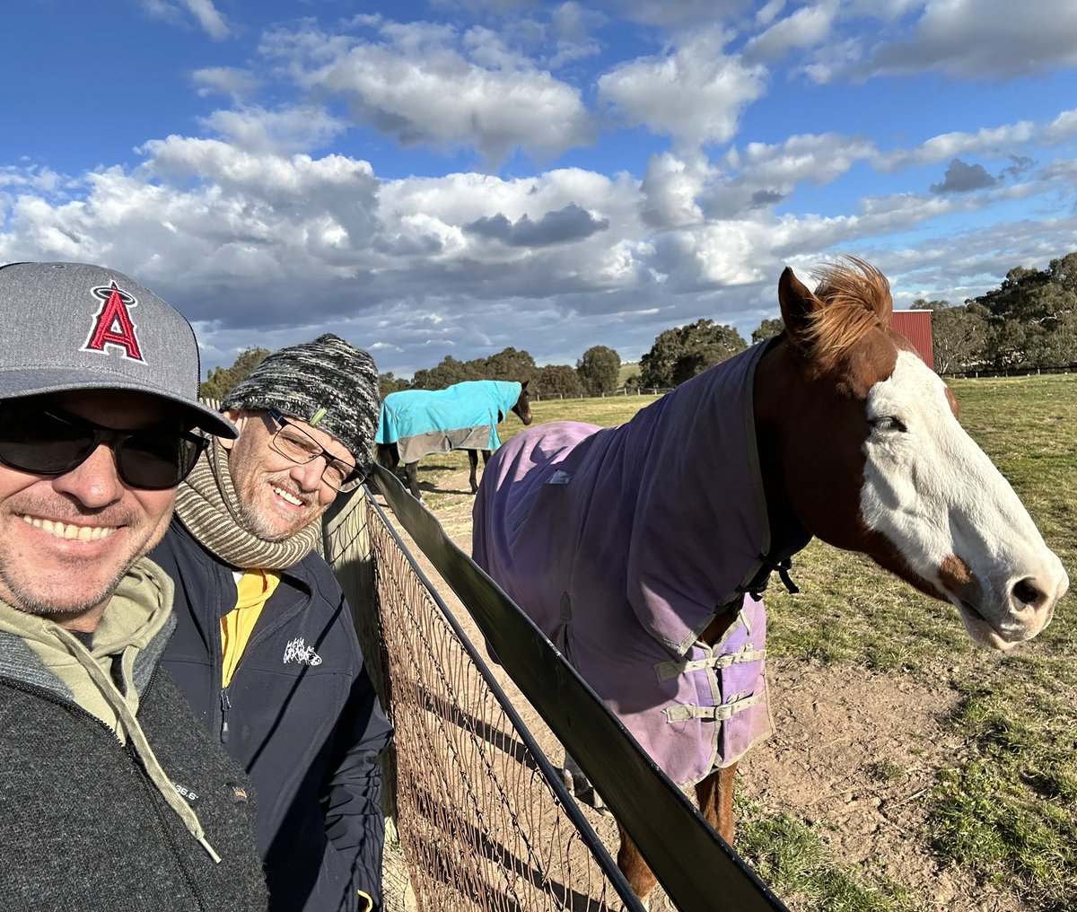 skyjasonwitham's tweet photo. The famous white blaze #ApacheCat
#LivingLegends near Tullamarine. 
Great to reminisce with these old legends #brew #efficient #redkirkwarrior #lankanrupee #harlem #bullishluck #beautygeneration #santaanalane 
Horse paradise…
@SkyRacingAU @SkyRacingWorld @FanDuel_Racing https://t.co/Y4at6cvno2
