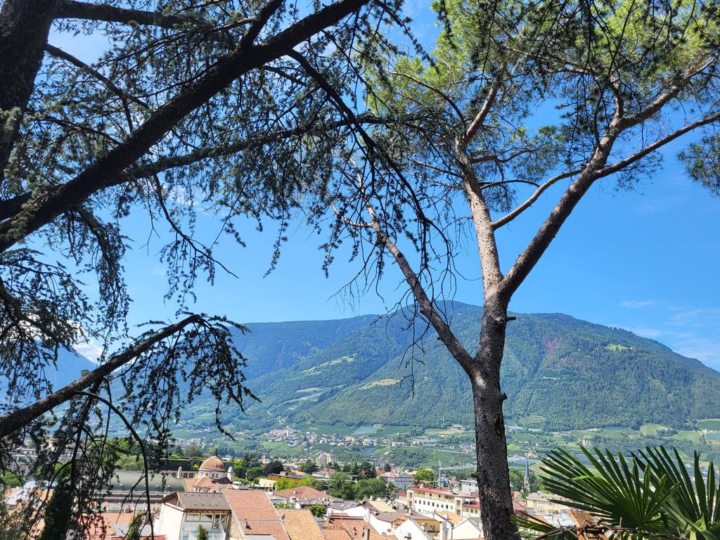 DerderKaffemag's tweet image. Aus aktuellem Anlass...
Danke für s &quot;Erinnern&quot; 😉😘

#ThrowbackThursday 
Meran 2023 🥰
#Fernweh