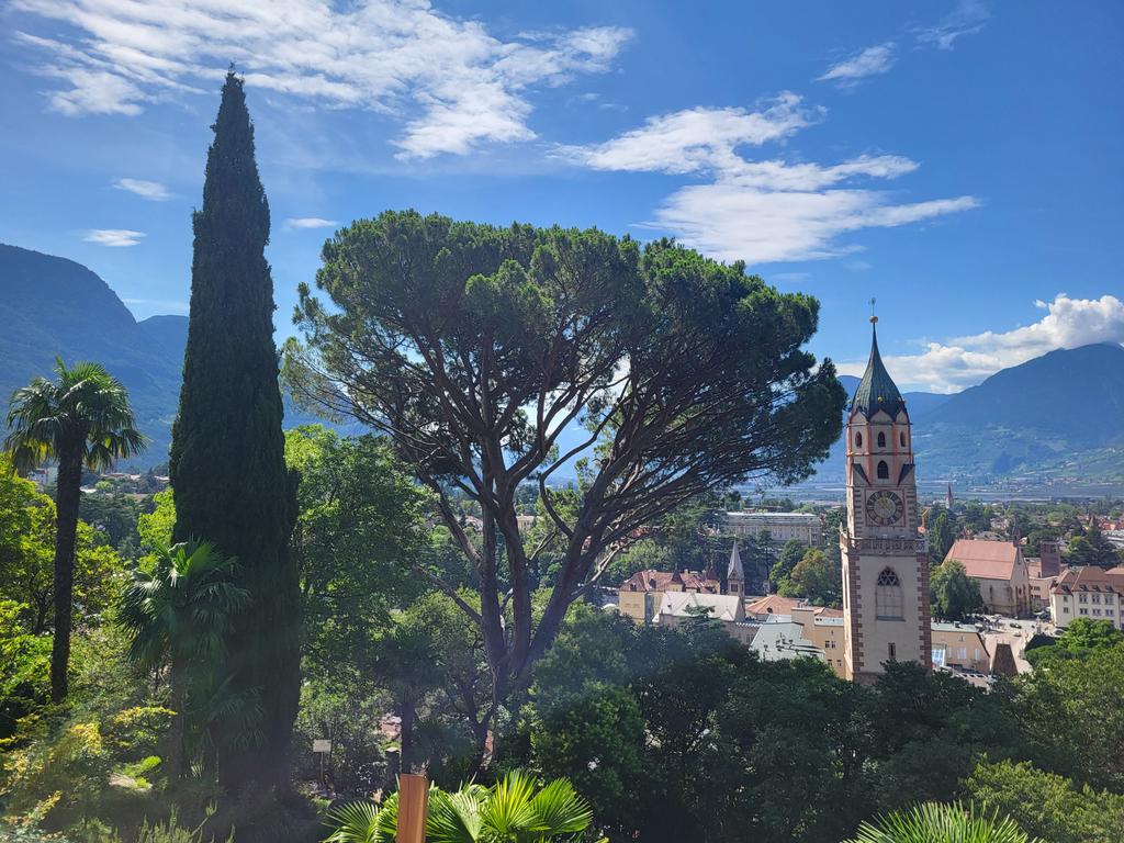 DerderKaffemag's tweet image. Aus aktuellem Anlass...
Danke für s &quot;Erinnern&quot; 😉😘

#ThrowbackThursday 
Meran 2023 🥰
#Fernweh