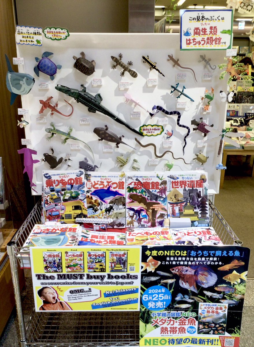 人気の図鑑18冊セット セーラーセット【六分の一男子図鑑/エイト】/F.L.C. | 展示