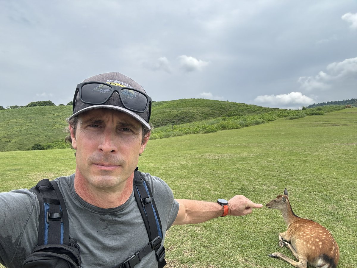 The higher the steps go, the thinner the crowds get. 

Also, there’s usually some cool stuff at the top.