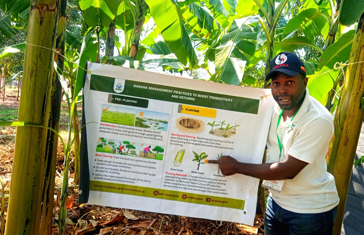 National Agricultural Research Laboratories(NARL) tweet media