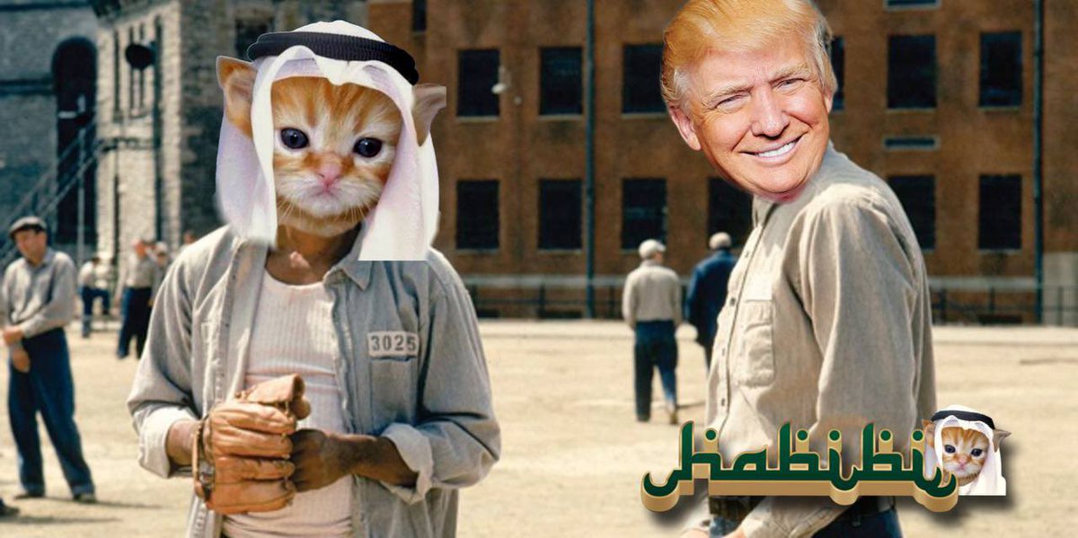 <a href="/3orovik/">borovik</a> Trump will make memes great again $HABIBI