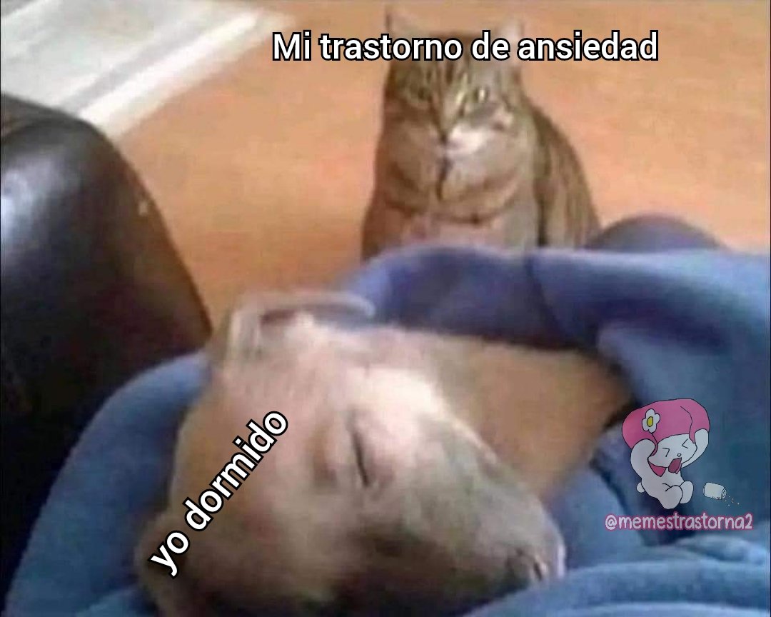Memes Trastornados (@memestrastorna2) on Twitter photo 
