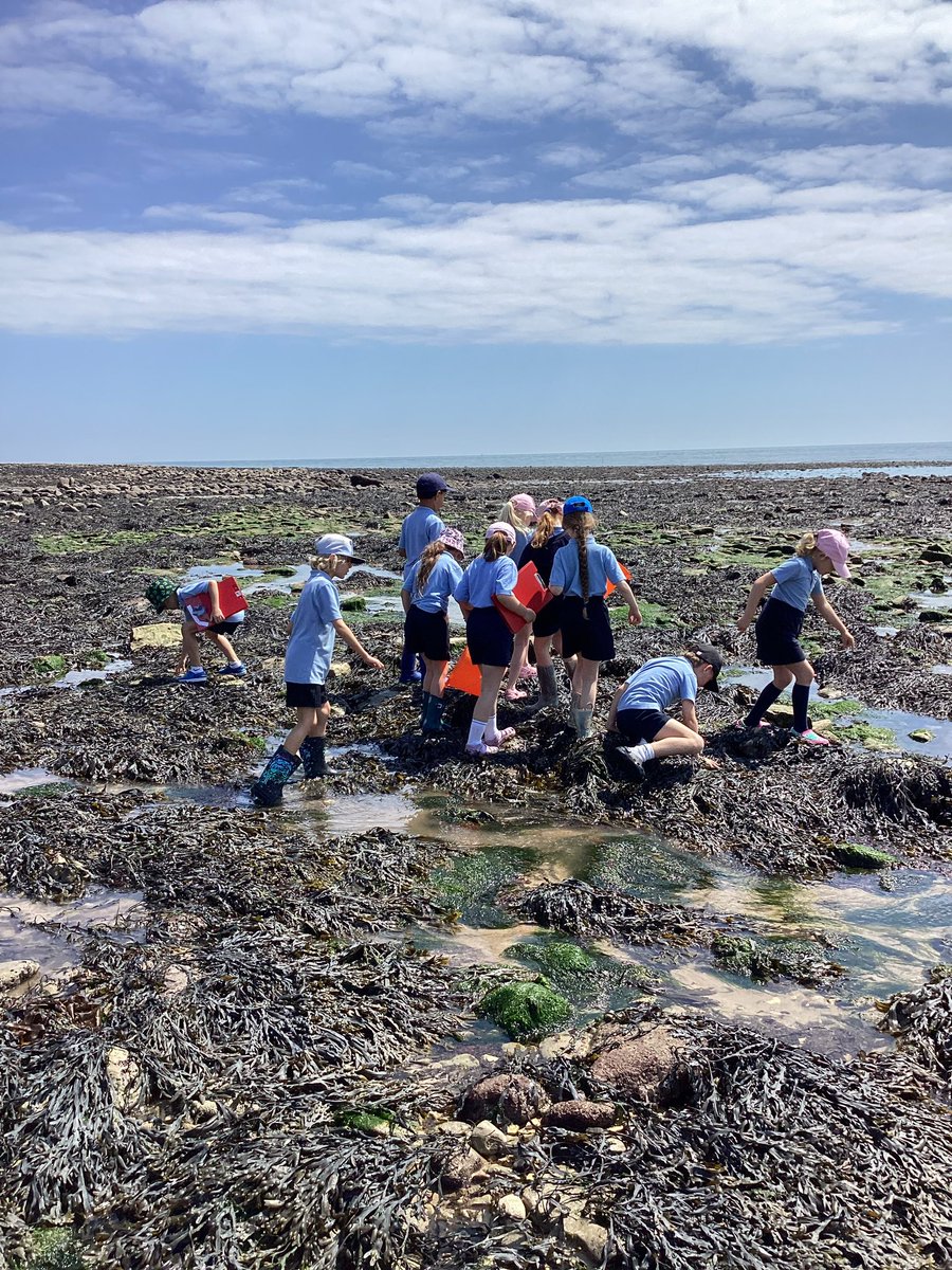 Tranby_PrePrep tweet media