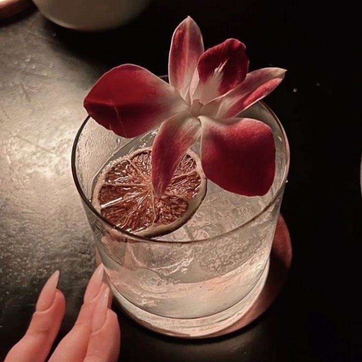 alsaudiprincess's tweet photo. Island girl 🌺🍸 https://t.co/aKwaDRT0Qk