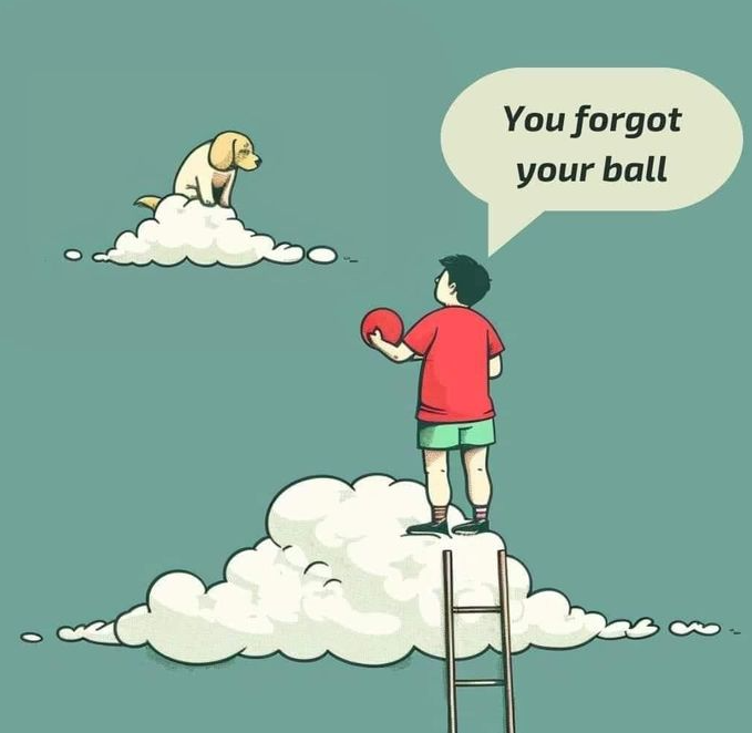 you forgot your ball