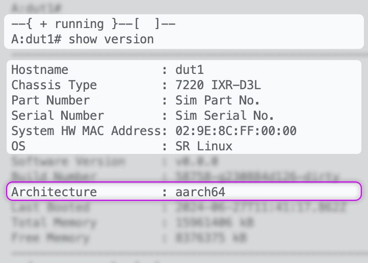 Roman Dodin tweet media