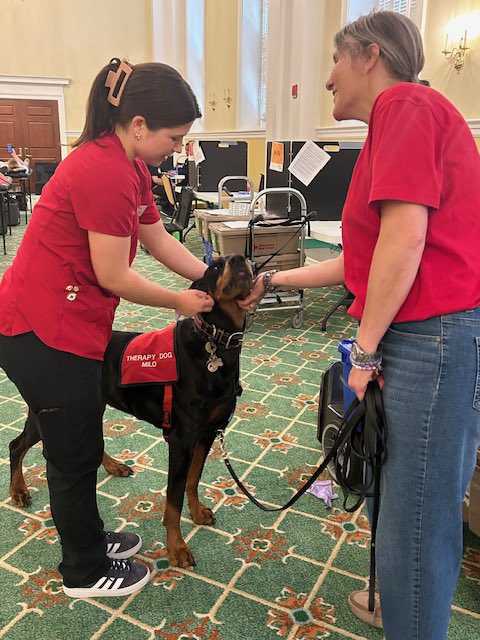 HVPaws4Cause's tweet photo. Raine, Milo, Mayhem &amp; Lulu  helped lower blood pressures for the blood donors and brought smiles to all throughout the day at the Red Cross Blood Drive in Greenwich, CT🩸🐶⛑️ #americanredcross #redcrossblood #redcrossny #therapydogs #pettherapy #blooddrive #redcrossvolunteer https://t.co/HL67LklF6w