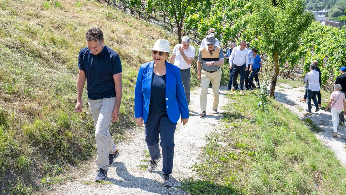 BR_Sprecher's tweet photo. 🦎🍇#BRAusflug Gemeinsamer Spaziergang durch die Reben auf dem Smaragdeidechsenweg oberhalb der Gemeinde Salgesch. #ExcursionCF #GitaCF https://t.co/I1n0lora0F