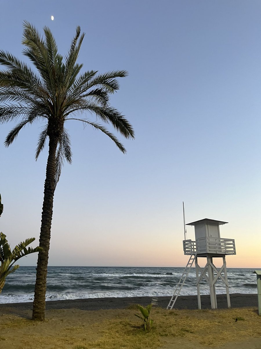 meriPortell's tweet photo. No hay ciudad más bonita que Málaga🌙 https://t.co/rhkO6gXHMM