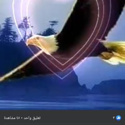جَهِآد tweet media