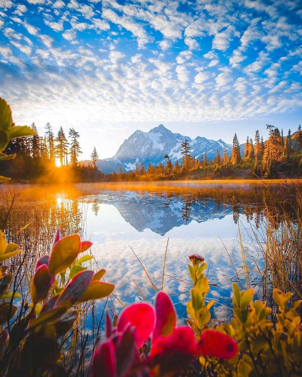 auslife1993's tweet photo. Good morning. #NatureBeauty #NaturePhotography 
Washington DC https://t.co/MC6UQhe499