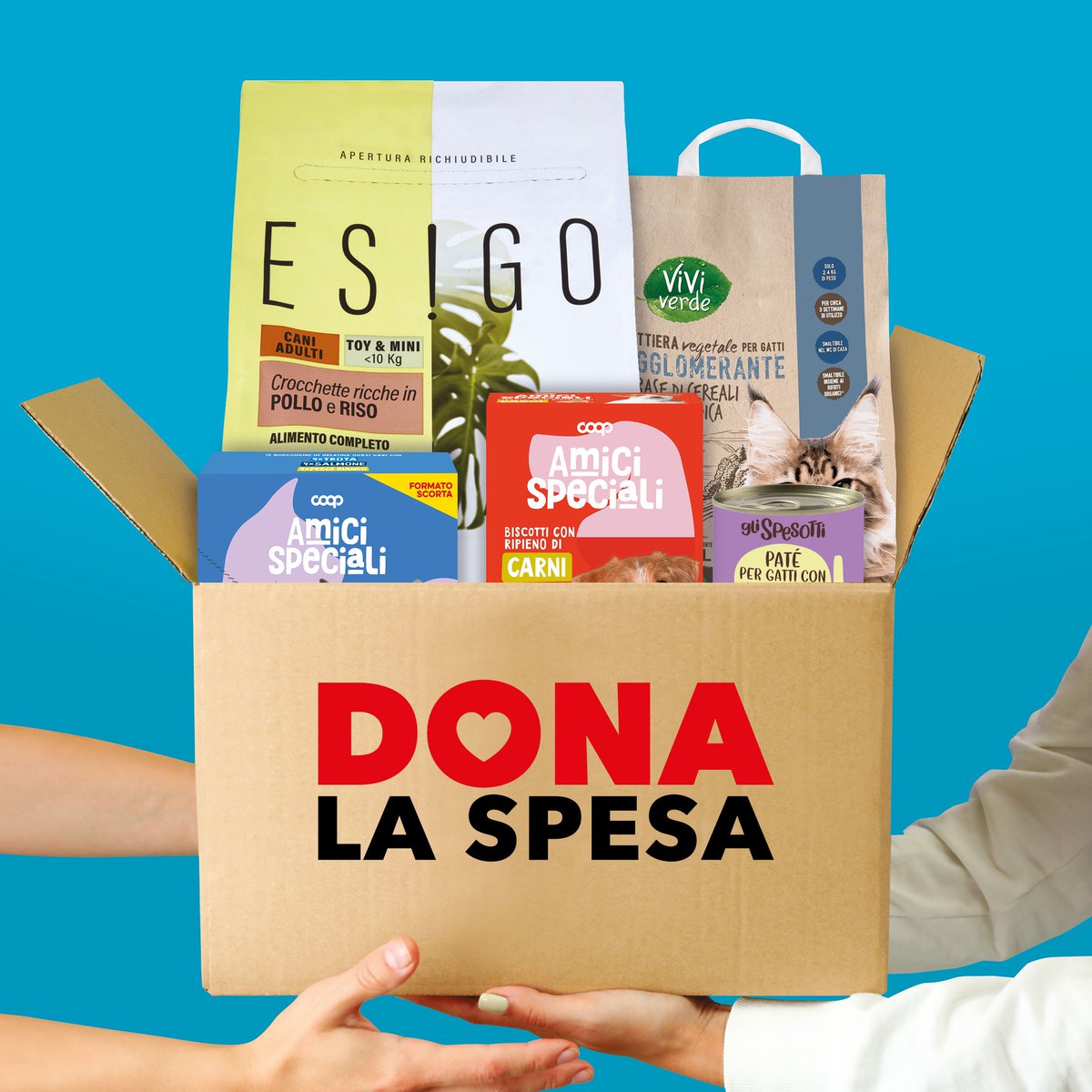 Cinoservizio's tweet photo. Sabato 6 luglio troverete il banchetto ed i nostri volontari alla Coop del centro commerciale “Il Globo” a Lugo di Romagna (RA).
Veniteci a trovare!!! @coopalleanza #coopalleanza30 #donalaspesa https://t.co/jTFGgFgQFV
