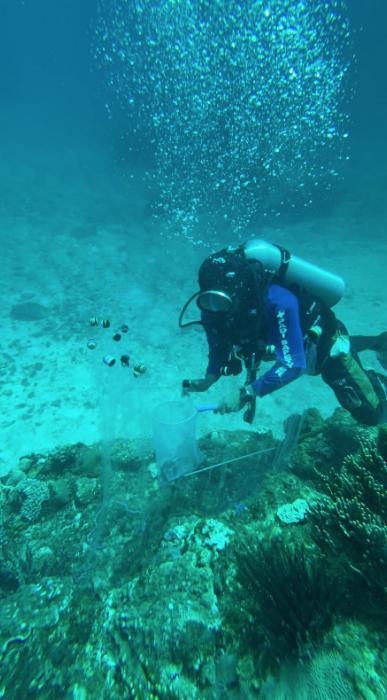 Reef Builders tweet media