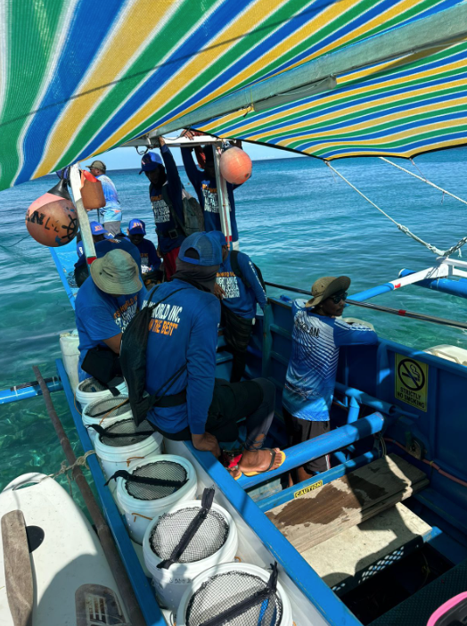 Reef Builders tweet media