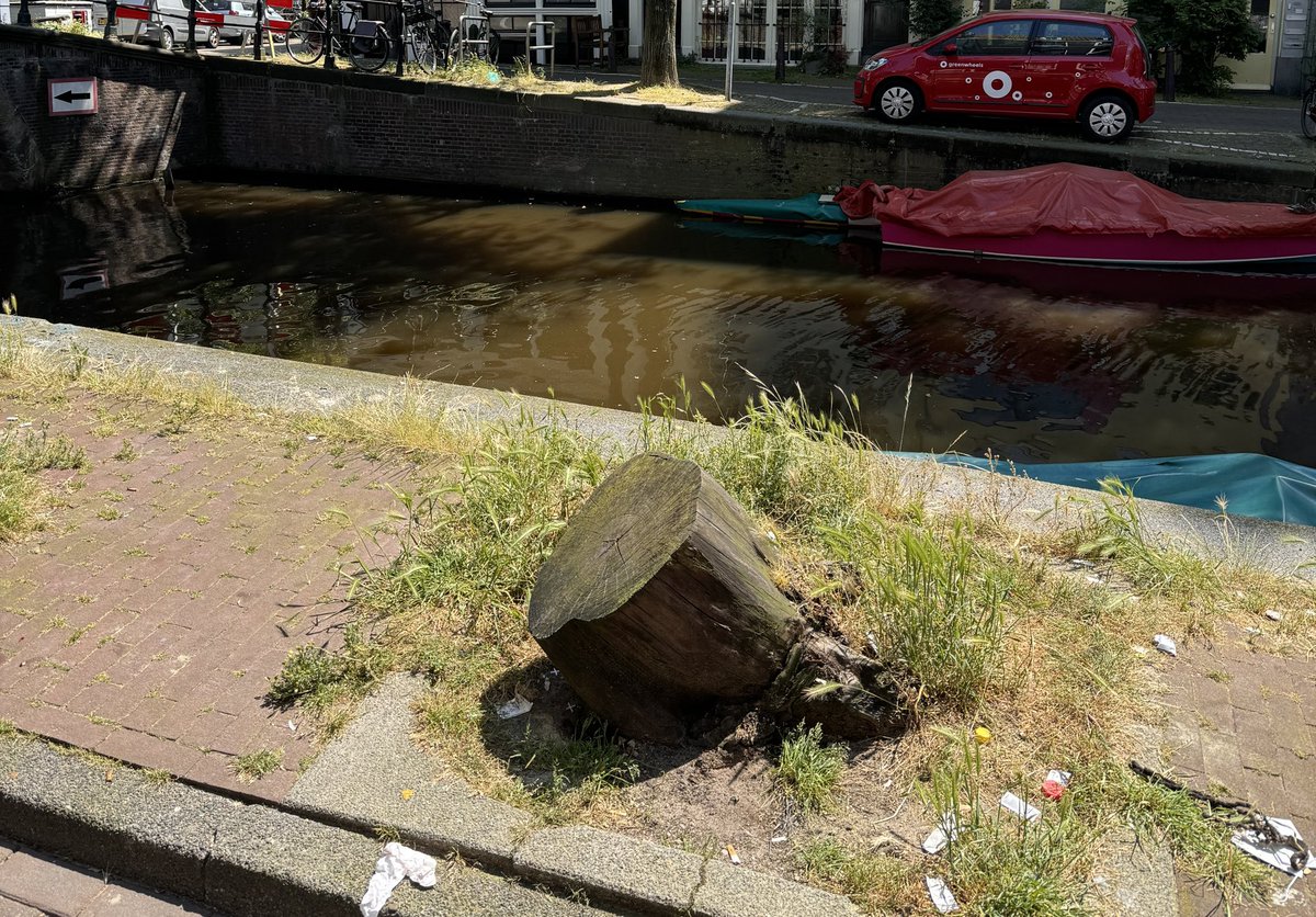 Paul Gruter tweet media