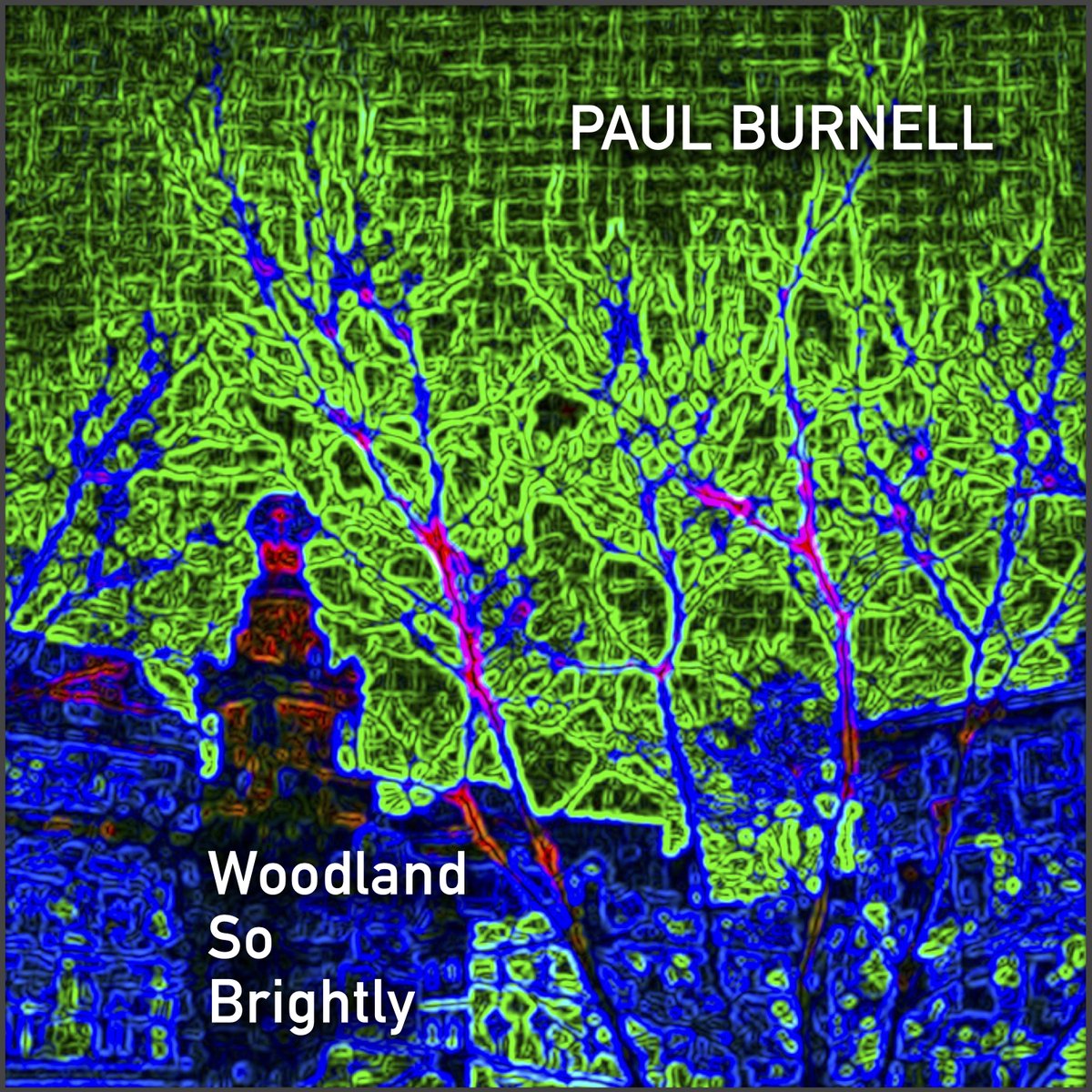 Paul Burnell tweet media