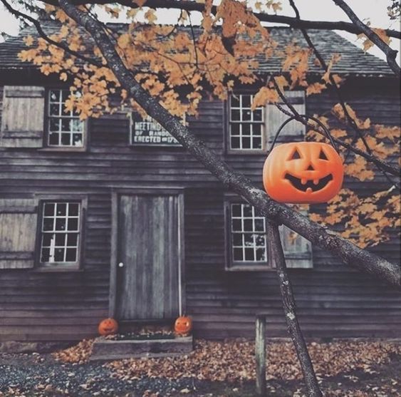 NosCalanGaeaf's tweet photo. 63 days until Halloween!
Are you ready?
🎃🍂🎃🍂🎃🍂🎃🍂🎃
#Halloween https://t.co/qTegvSRJ3f