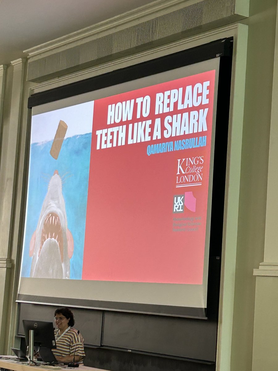 John Mulley tweet media