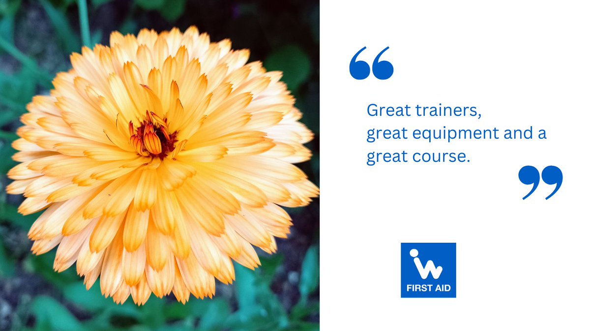 wyattfirstaid's tweet photo. Will you enjoy training with Wyatt First Aid? 
#FeedbackFriday returns to help you decide! 
We're here to train your staff so you meet your legal obligations, to provide confidence when hosting a community group or club, or for everyday life!
Fancy a chat to see how we can help? https://t.co/snjiLBxMfN