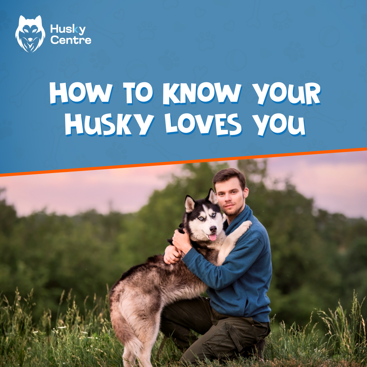 HuskyCentre's tweet photo. Wondering how to know your Husky loves you? Discover signs and behaviors that show your Husky's affection and loyalty.

𝐑𝐞𝐚𝐝 𝐌𝐨𝐫𝐞: https://t.co/x5e2zn17xi

#HuskyLove #DogAffection #HuskyLife #PetLove #HuskyOwners #DogBehavior #FurryFriend #PetBonding https://t.co/uYlXqYIm1I