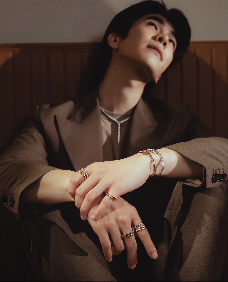 TheVentureMGMT's tweet photo. #TheVentureTalent and @Bulgariofficial Friend of House @milephakphum embodies the essence of elegance and versatility of the Serpenti collection #BookedbyTheVenture https://t.co/k7iJbRAyZd