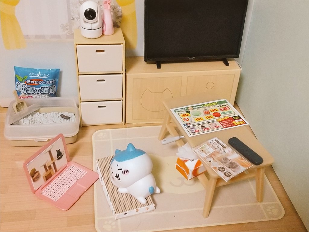 ハチワレ推し (@Hachiware55) / Posts / X