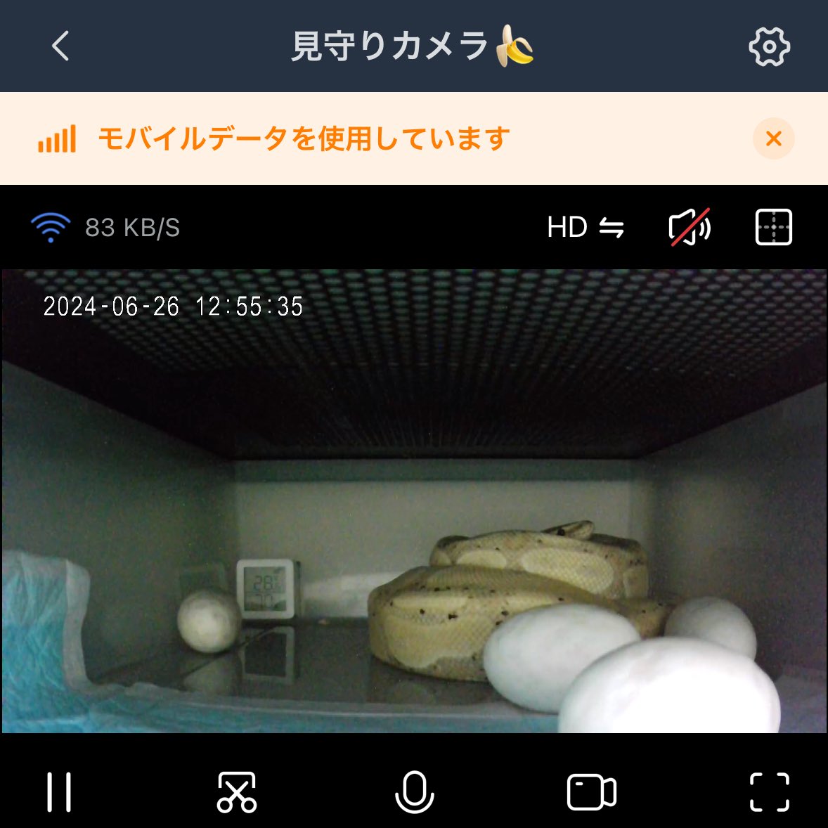 Tweet media four