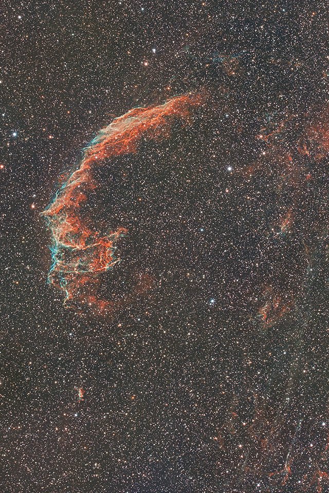 こ*な様 Mellojoy ドーナツ 星雲ブラックホール オーシャンパラダイス mellojoy ドーナツ 星雲ブラックホール｜Yahoo!フリマ（旧PayPay