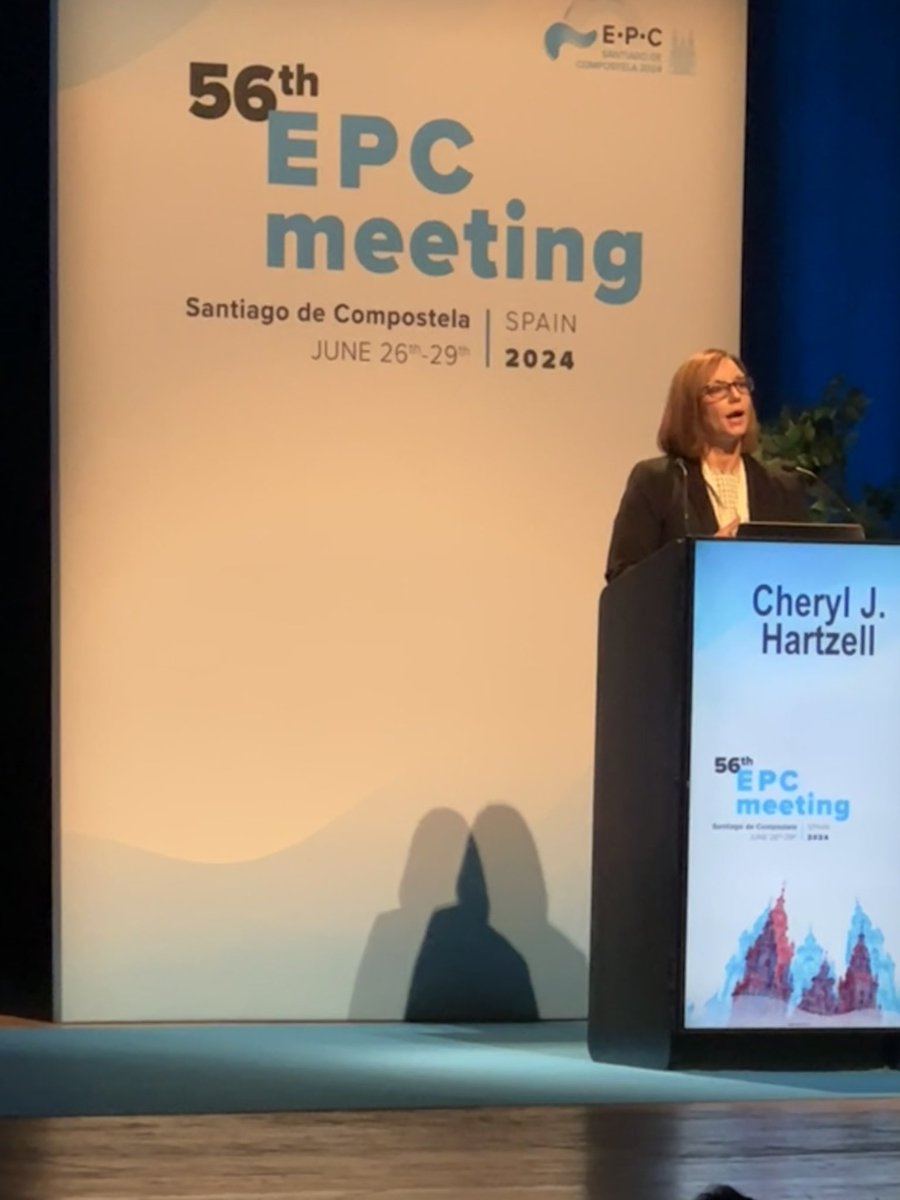 Peter Farrell tweet media