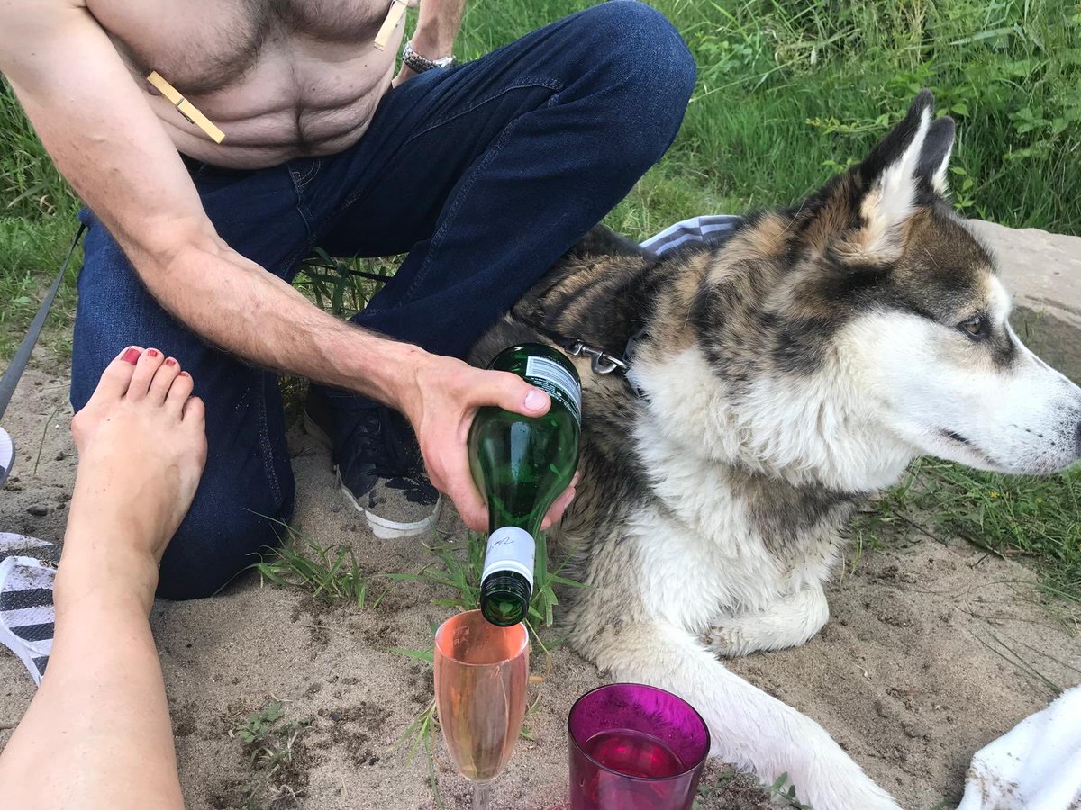 fetishhostelDD's tweet photo. Sich es gutgehen lassen https://t.co/7OftetuZxR https://t.co/qHqTU4q5aU
