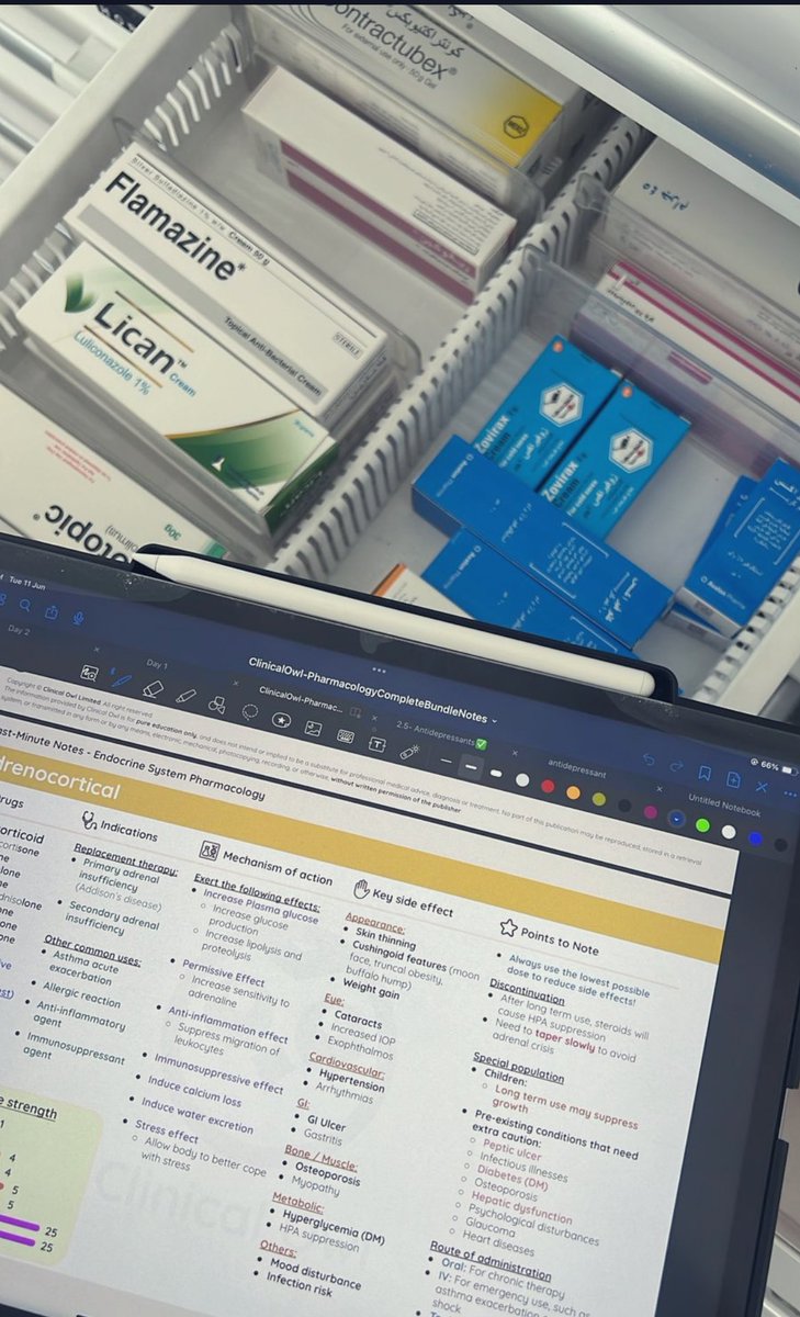 IPPE-1 Randoms 💊✨